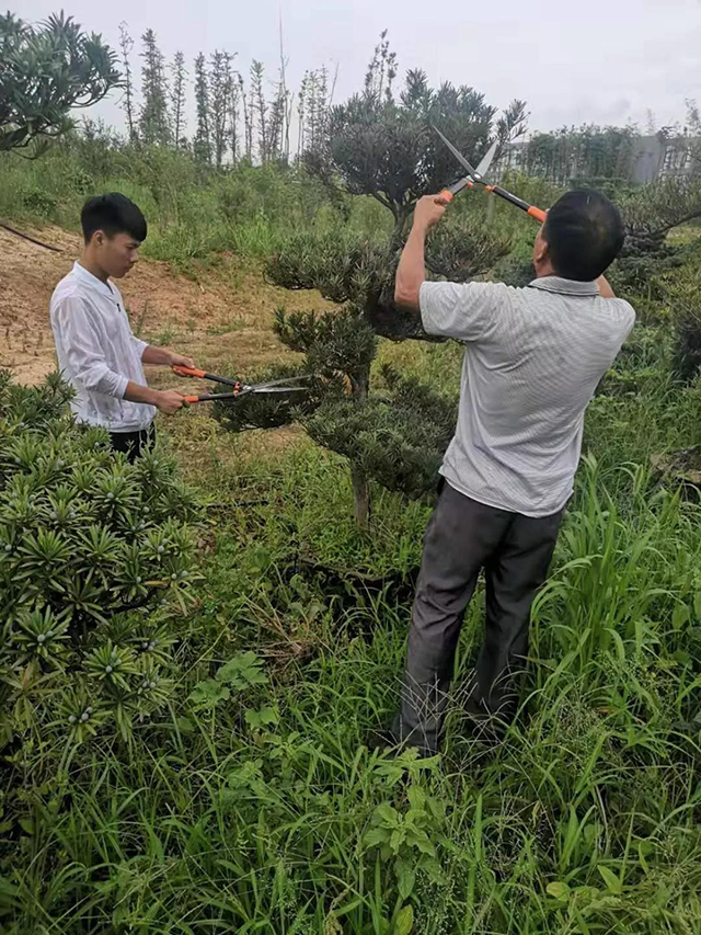 &#20048;&#25237;&#22312;&#32447;&#45;&#20048;&#25237;&#22312;&#32447;&#40;&#20013;&#22269;&#41;